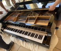 356236961_6410970268991035_5703064971141255407_n